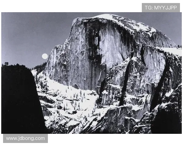 亚当斯的传奇人生与影响力探秘：从历史到现代的深远启示