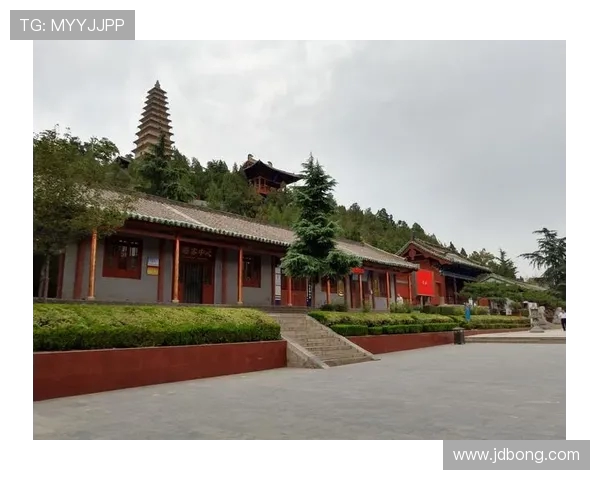 倪永康的政治生涯与影响力探讨：从官场风云到历史评价的全景分析