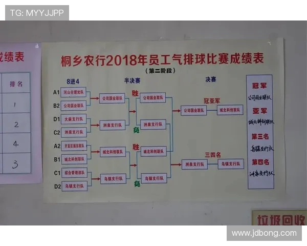 杭州排球队实力崛起排球实力排行榜揭晓第九名成就