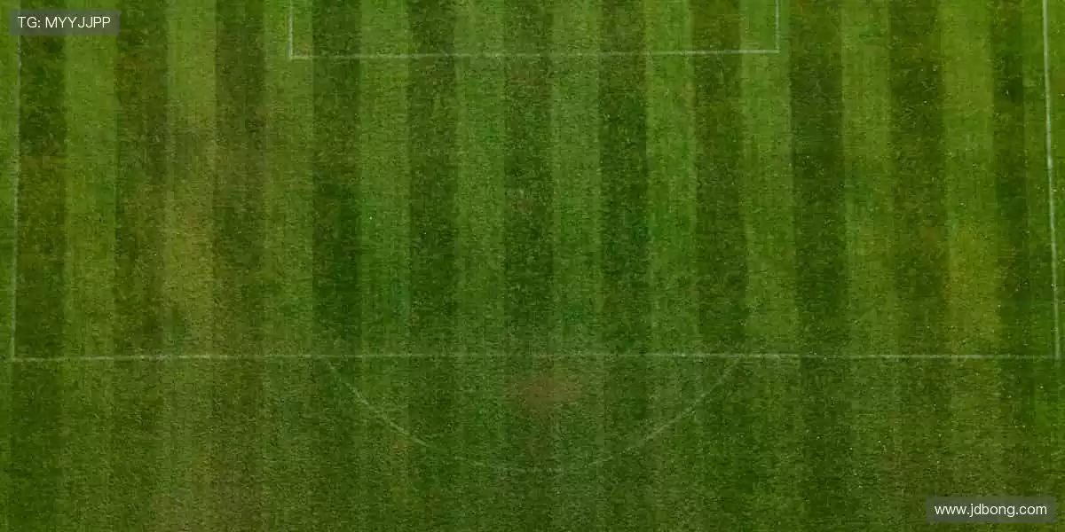 📱错过直播？精彩瞬间随时为你回放！